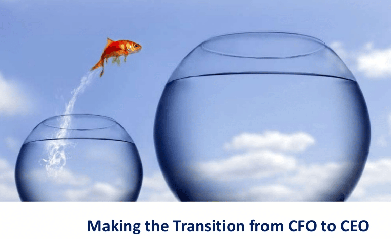 Transition from CFO to CEO